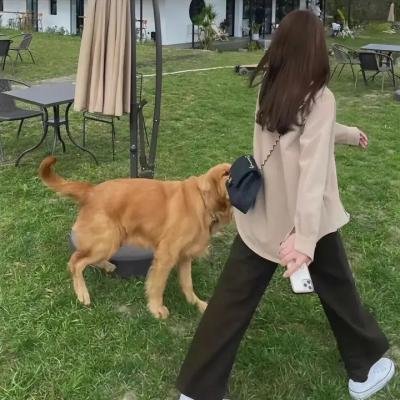 香城浪子粤语
